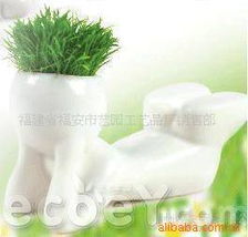 福安市藝園工藝品廠花草盆景產(chǎn)品列表 花木盆景精選